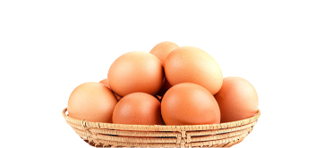 Telur Ayam